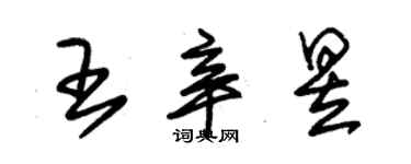 朱錫榮王辛昱草書個性簽名怎么寫