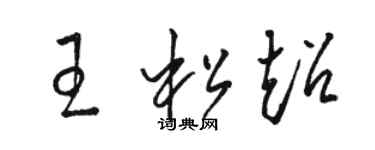 駱恆光王松超草書個性簽名怎么寫