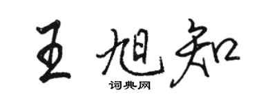 駱恆光王旭知行書個性簽名怎么寫