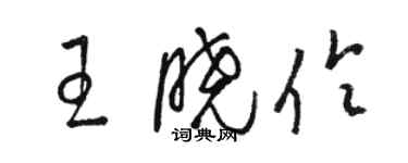 駱恆光王曉伶草書個性簽名怎么寫