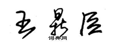 朱錫榮王鼎臣草書個性簽名怎么寫