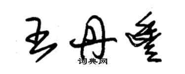 朱錫榮王丹豐草書個性簽名怎么寫