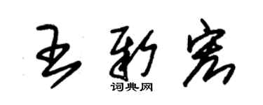 朱錫榮王新宏草書個性簽名怎么寫