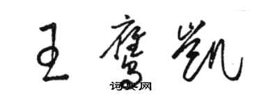 駱恆光王鷹凱草書個性簽名怎么寫