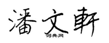 王正良潘文軒行書個性簽名怎么寫