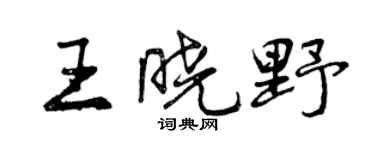 曾慶福王曉野行書個性簽名怎么寫