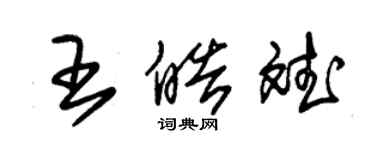 朱錫榮王皓斌草書個性簽名怎么寫