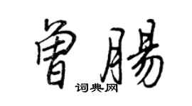 王正良曾腸行書個性簽名怎么寫