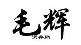 胡問遂毛輝行書個性簽名怎么寫