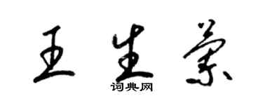 梁錦英王生蘭草書個性簽名怎么寫