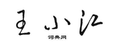 駱恆光王小江草書個性簽名怎么寫