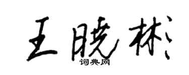 王正良王曉彬行書個性簽名怎么寫