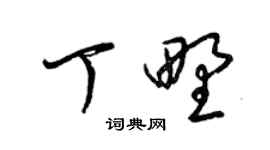 梁錦英丁野草書個性簽名怎么寫