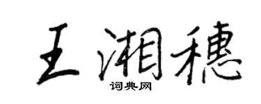 王正良王湘穗行書個性簽名怎么寫