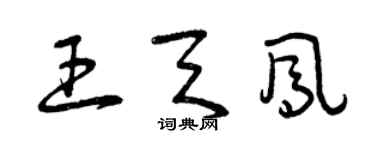 曾慶福王天鳳草書個性簽名怎么寫