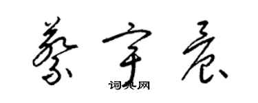 梁錦英蔡宇晨草書個性簽名怎么寫