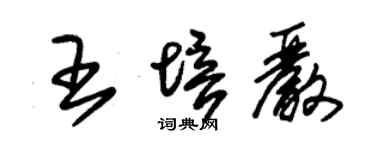 朱錫榮王培嚴草書個性簽名怎么寫
