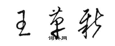 駱恆光王革新草書個性簽名怎么寫