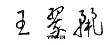 駱恆光王翠麗草書個性簽名怎么寫