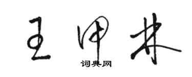 駱恆光王甲林草書個性簽名怎么寫