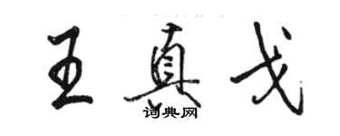 駱恆光王真戈行書個性簽名怎么寫