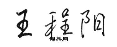 駱恆光王程陽行書個性簽名怎么寫