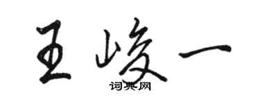 駱恆光王峻一行書個性簽名怎么寫