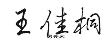 駱恆光王佳桐行書個性簽名怎么寫