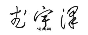 駱恆光武宇澤草書個性簽名怎么寫