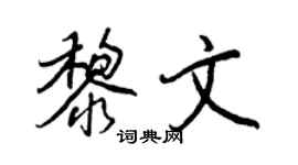 王正良黎文行書個性簽名怎么寫