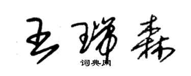 朱錫榮王瑞森草書個性簽名怎么寫