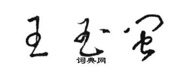 駱恆光王玉閩草書個性簽名怎么寫