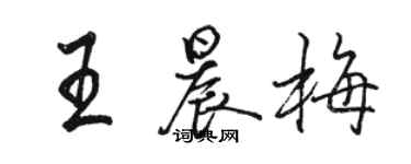 駱恆光王晨梅行書個性簽名怎么寫