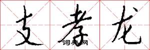 支孝龍怎么寫好看