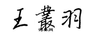 王正良王叢羽行書個性簽名怎么寫