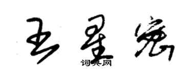 朱錫榮王星密草書個性簽名怎么寫