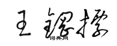 駱恆光王鋼標草書個性簽名怎么寫