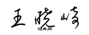 梁錦英王曉崎草書個性簽名怎么寫