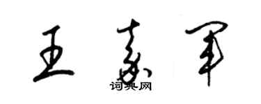 梁錦英王嘉軍草書個性簽名怎么寫
