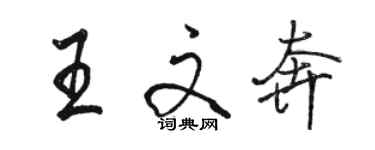 駱恆光王文奔行書個性簽名怎么寫