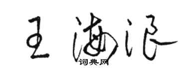 駱恆光王海浪草書個性簽名怎么寫