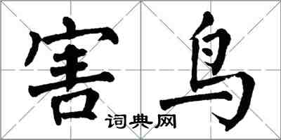 翁闓運害鳥楷書怎么寫