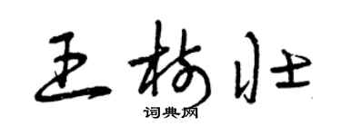 曾慶福王樹壯草書個性簽名怎么寫