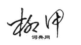 駱恆光柳甲草書個性簽名怎么寫