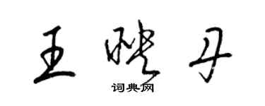 梁錦英王映丹草書個性簽名怎么寫