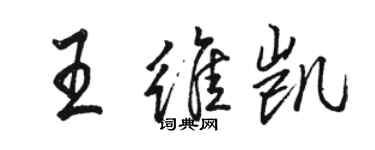 駱恆光王維凱行書個性簽名怎么寫
