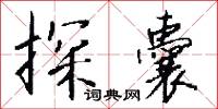 探虎口的意思_探虎口的解釋_國語詞典