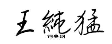 王正良王純猛行書個性簽名怎么寫
