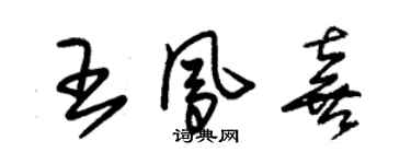朱錫榮王鳳喜草書個性簽名怎么寫