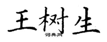 丁謙王樹生楷書個性簽名怎么寫